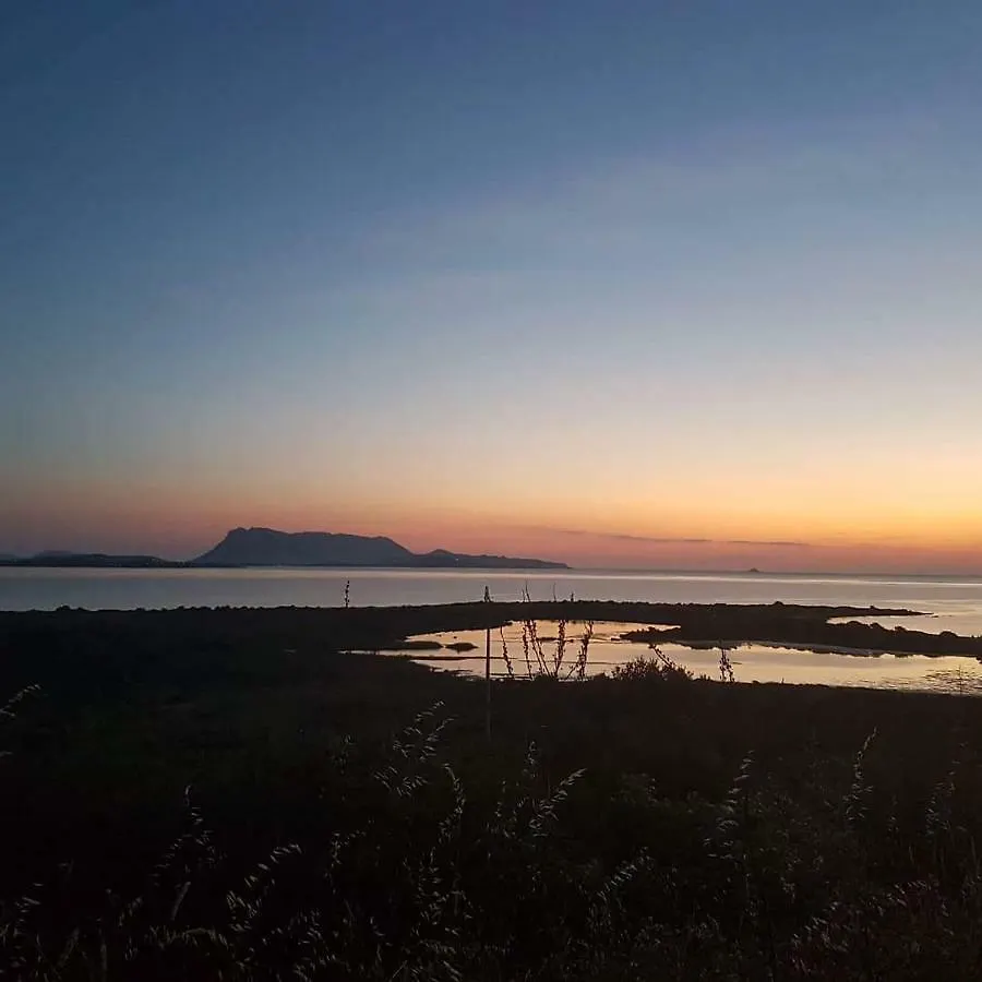 ファームステイ Agriturismo La Rocca Manna サン・テオドーロ イタリア
