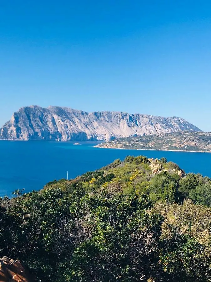 Agriturismo La Rocca Manna サン・テオドーロ ファームステイ